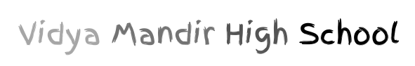 Vidya Mandir High School