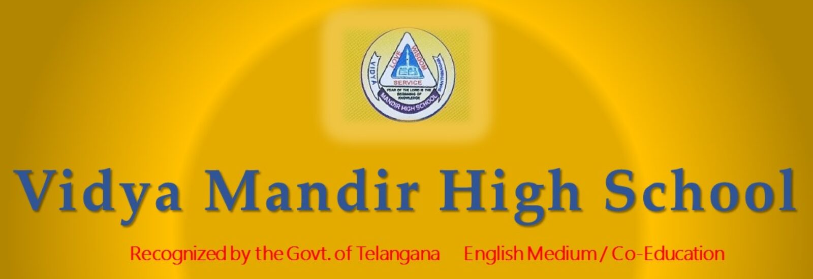 vidya mandir high school logo